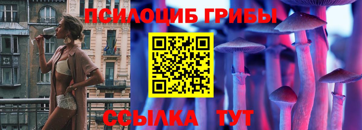 Сунжа  Галлюциногенные грибы мицелий  Вход с VPN 